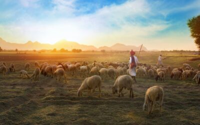 Vai trò của sự “gương mẫu”  trong công tác lãnh đạo